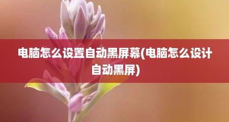 电脑怎么设置自动黑屏幕(电脑怎么设计自动黑屏)