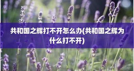 共和国之辉打不开怎么办(共和国之辉为什么打不开)