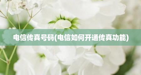 电信传真号码(电信如何开通传真功能)