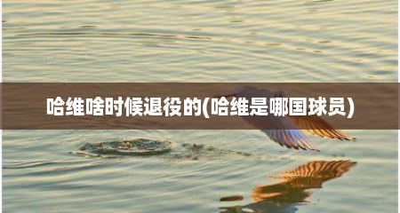 哈维啥时候退役的(哈维是哪国球员)