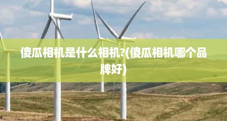 傻瓜相机是什么相机?(傻瓜相机哪个品牌好)