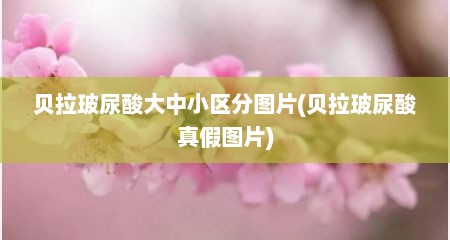 贝拉玻尿酸大中小区分图片(贝拉玻尿酸真假图片)