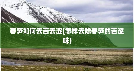 春笋如何去苦去涩(怎样去除春笋的苦涩味)