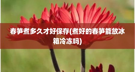 春笋煮多久才好保存(煮好的春笋能放冰箱冷冻吗)