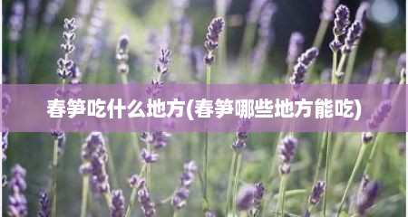 春笋吃什么地方(春笋哪些地方能吃)