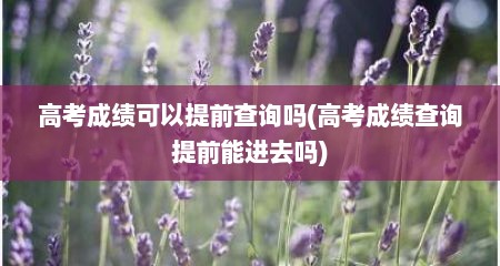 高考成绩可以提前查询吗(高考成绩查询提前能进去吗)