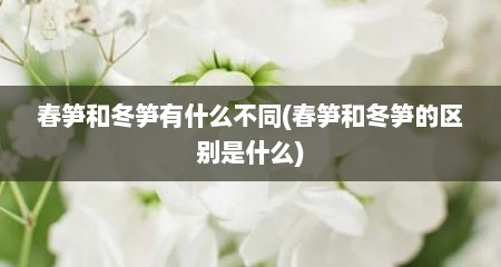春笋和冬笋有什么不同(春笋和冬笋的区别是什么)
