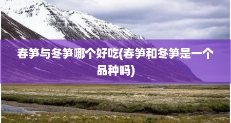 春笋与冬笋哪个好吃(春笋和冬笋是一个品种吗)