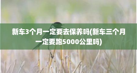 新车3个月一定要去保养吗(新车三个月一定要跑5000公里吗)