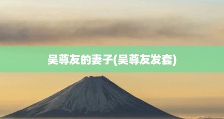 吴尊友的妻子(吴尊友发套)