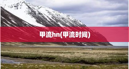 甲流hn(甲流时间)