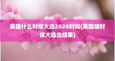 美国什么时候大选2020时间(美国啥时候大选出结果)