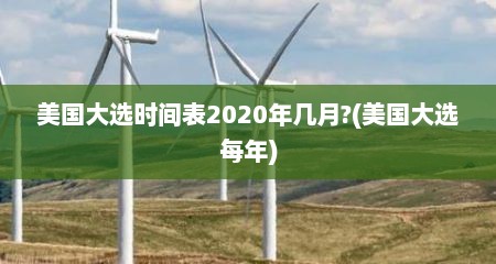 美国大选时间表2020年几月?(美国大选每年)