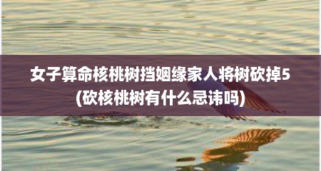 女子算命核桃树挡姻缘家人将树砍掉5(砍核桃树有什么忌讳吗)