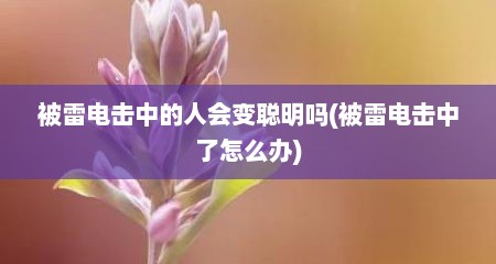 被雷电击中的人会变聪明吗(被雷电击中了怎么办)