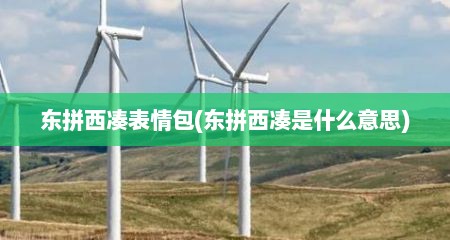 东拼西凑表情包(东拼西凑是什么意思)