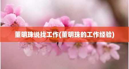 董明珠说找工作(董明珠的工作经验)