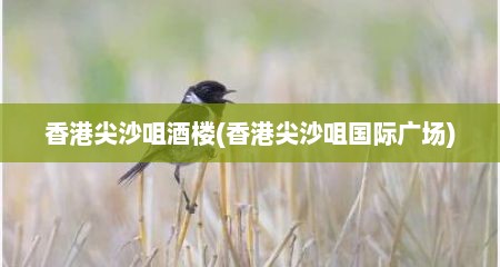 香港尖沙咀酒楼(香港尖沙咀国际广场)