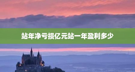 站年净亏损亿元站一年盈利多少