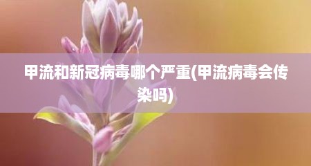 甲流和新冠病毒哪个严重(甲流病毒会传染吗)
