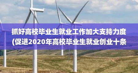 抓好高校毕业生就业工作加大支持力度(促进2020年高校毕业生就业创业十条措施)