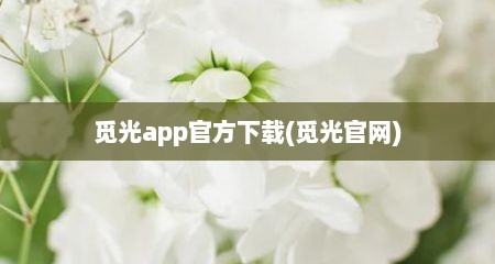 觅光app官方下载(觅光官网)