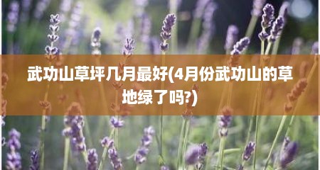 武功山草坪几月最好(4月份武功山的草地绿了吗?)