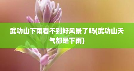 武功山下雨看不到好风景了吗(武功山天气都是下雨)