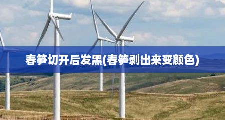 春笋切开后发黑(春笋剥出来变颜色)