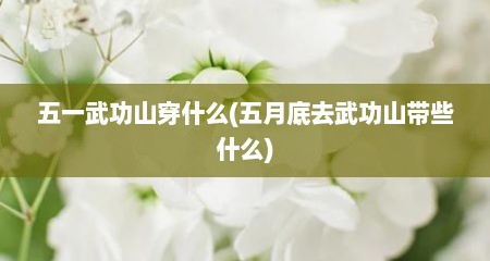 五一武功山穿什么(五月底去武功山带些什么)