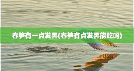 春笋有一点发黑(春笋有点发黑能吃吗)