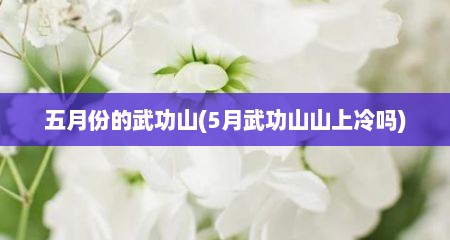 五月份的武功山(5月武功山山上冷吗)