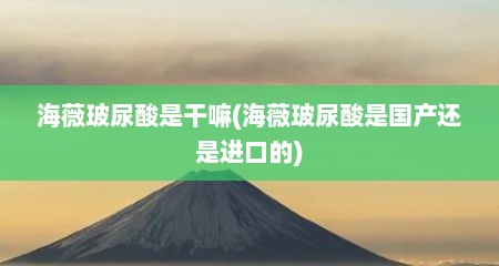 海薇玻尿酸是干嘛(海薇玻尿酸是国产还是进口的)
