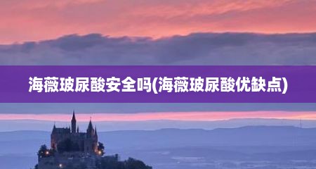 海薇玻尿酸安全吗(海薇玻尿酸优缺点)