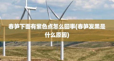 春笋下面有紫色点怎么回事(春笋发黑是什么原因)