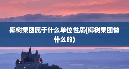 椰树集团属于什么单位性质(椰树集团做什么的)