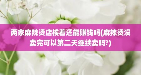 两家麻辣烫店挨着还能赚钱吗(麻辣烫没卖完可以第二天继续卖吗?)