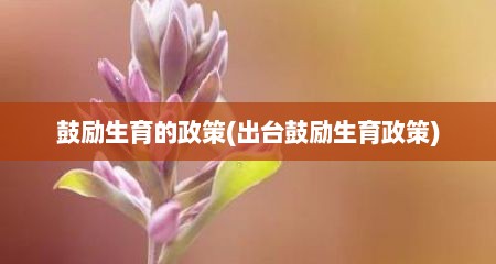 鼓励生育的政策(出台鼓励生育政策)