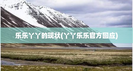 乐乐丫丫的现状(丫丫乐乐官方回应)