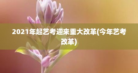 2021年起艺考迎来重大改革(今年艺考改革)