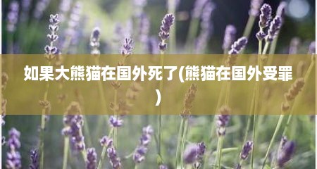 如果大熊猫在国外死了(熊猫在国外受罪)