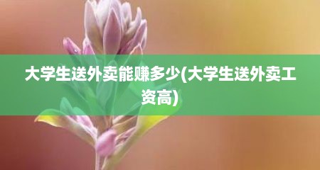 大学生送外卖能赚多少(大学生送外卖工资高)