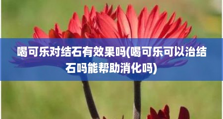 喝可乐对结石有效果吗(喝可乐可以治结石吗能帮助消化吗)