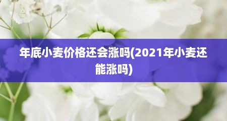 年底小麦价格还会涨吗(2021年小麦还能涨吗)