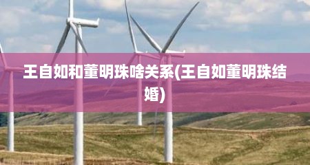 王自如和董明珠啥关系(王自如董明珠结婚)