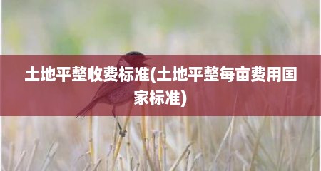 土地平整收费标准(土地平整每亩费用国家标准)