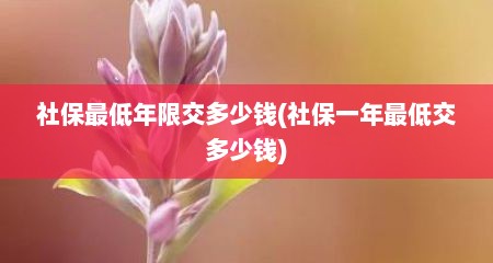 社保最低年限交多少钱(社保一年最低交多少钱)