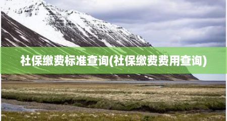 社保缴费标准查询(社保缴费费用查询)