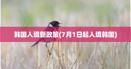 韩国入境新政策(7月1日起入境韩国)