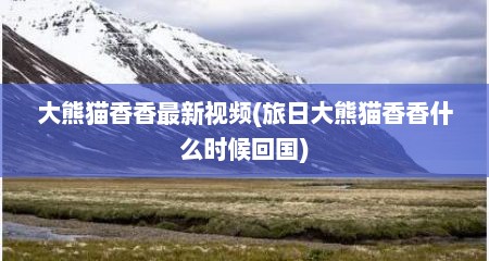 大熊猫香香最新视频(旅日大熊猫香香什么时候回国)